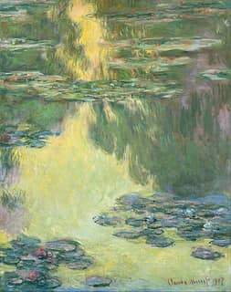 Waterlilies